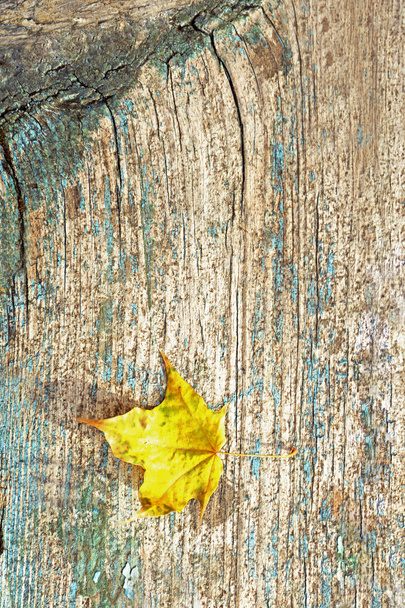 Beautiful autumn leaf on wooden background - Fotoğraf, Görsel