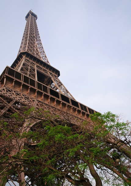 Torre Eiffel, París
 - Foto, Imagen