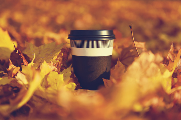 disposable coffee cup - Foto, Bild