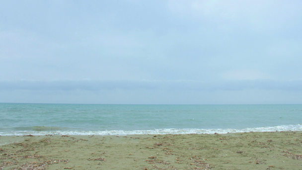 Bellissimo paesaggio marino con onde salate che schizzano sulla spiaggia di sabbia e lontano orizzonte
 - Filmati, video