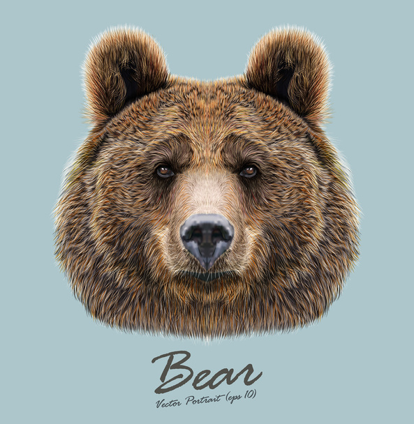 Dierlijk gezicht dragen. Grizzly brown bear hoofd portret. Realistische bont portret van Beer op blauwe achtergrond. - Vector, afbeelding