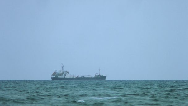 Σκαφών εμπορευματοκιβωτίων με τους γερανούς επί μεταφοράς φορτίου στην έμπορος θαλάσσιο λιμένα - Πλάνα, βίντεο
