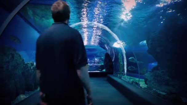 Aquarium Underwater Tunnel With Man Walking Through - Materiał filmowy, wideo