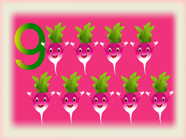 Illustrated flash card showing the number nine, radishes. - Vector, Image