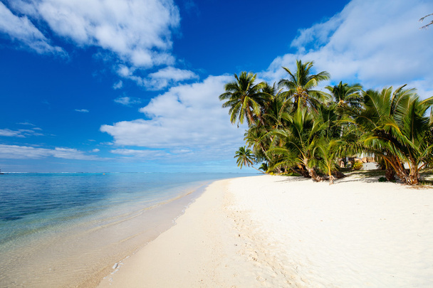 Kaunis trooppinen ranta eksoottisella saarella Tyynellämerellä
 - Valokuva, kuva