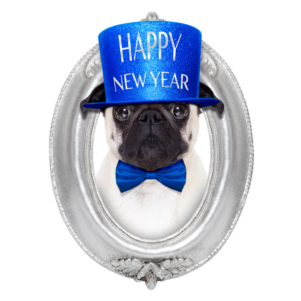 felice anno nuovo cane - Foto, immagini