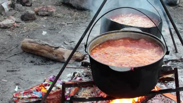 cooking red borsch - Footage, Video