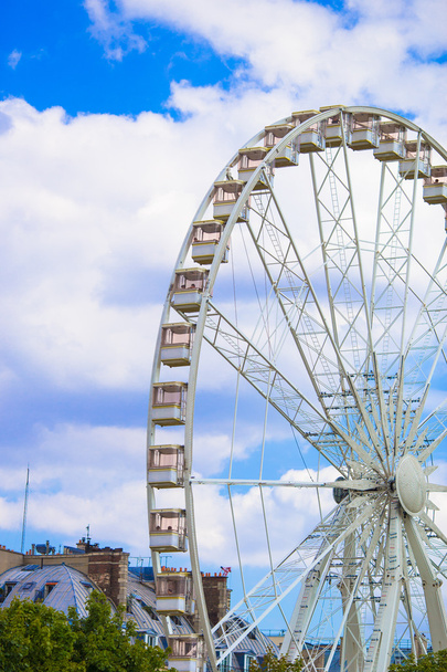 Ferris wheel Roue de Paris on the Place de la Concorde from Tuileries Garden in Paris, Γαλλία - Φωτογραφία, εικόνα