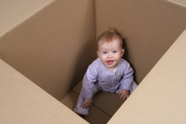 Baby in Box ready to be shipped - Φωτογραφία, εικόνα