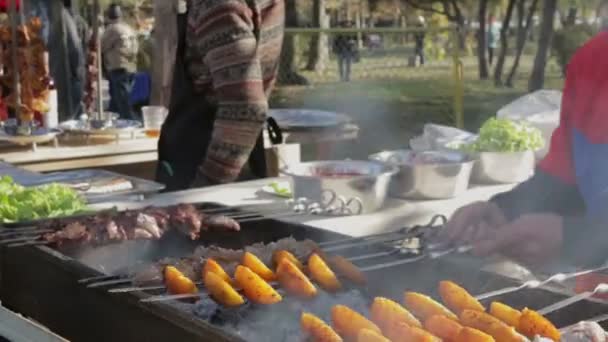 Hús és zöldség grill, sült, a nyitott tüzet - Felvétel, videó
