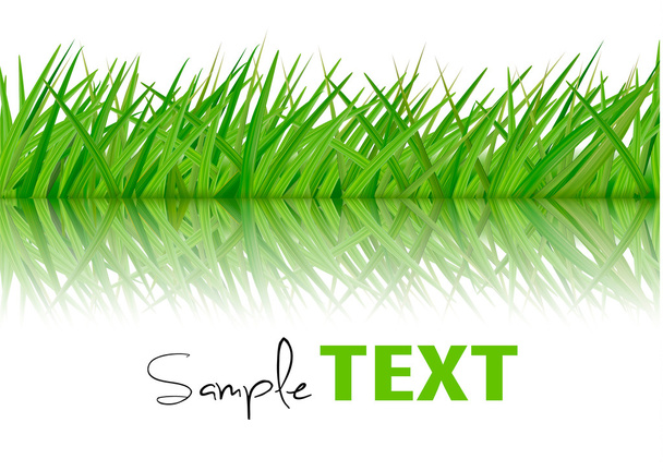 Background with green grass. Vector. - Vector, Image