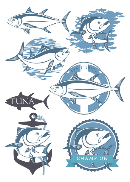 etiquetas de la pesca de atún
 - Vector, imagen