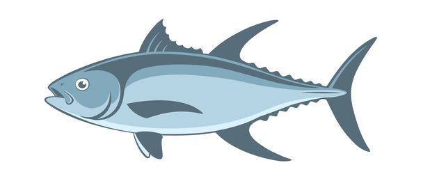 atún azul
 - Vector, imagen