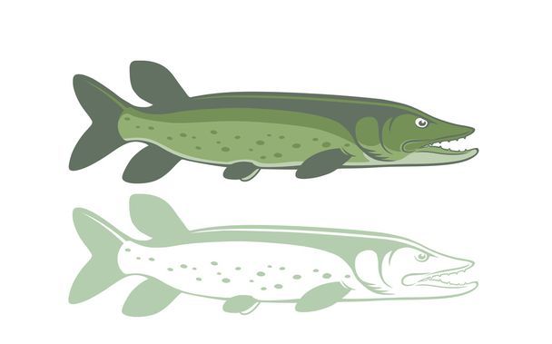 icons pike fish - Vector, Image