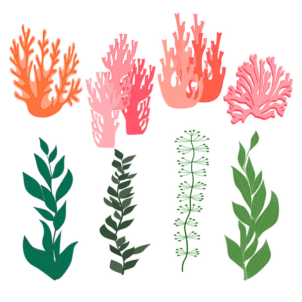 葉と海藻 - ベクター画像
