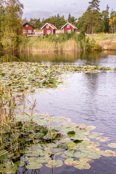 スウェーデンのヨーロッパの伝統的な赤い木造別荘 - 写真・画像