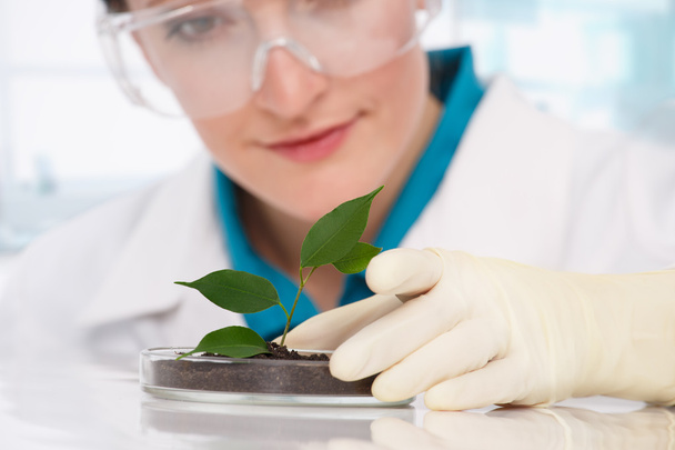 woman biologist with plants - Фото, изображение
