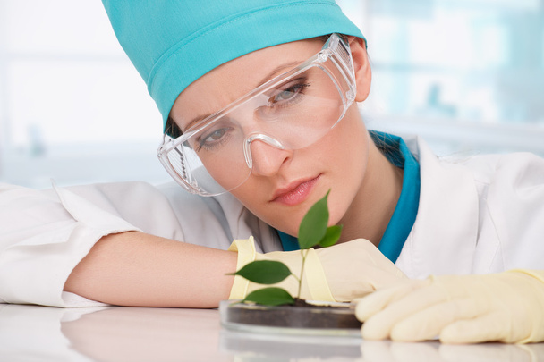 woman biologist with plants - Zdjęcie, obraz