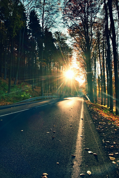 Sötét sphalt road színes őszi egész vonallal forrest, a nagy-bükk fa - Fotó, kép