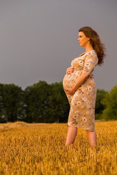 schöne schwangere Frau auf einem Spaziergang in einem Weizenfeld - Foto, Bild