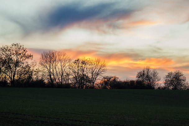 Summer sunset landscape - Zdjęcie, obraz
