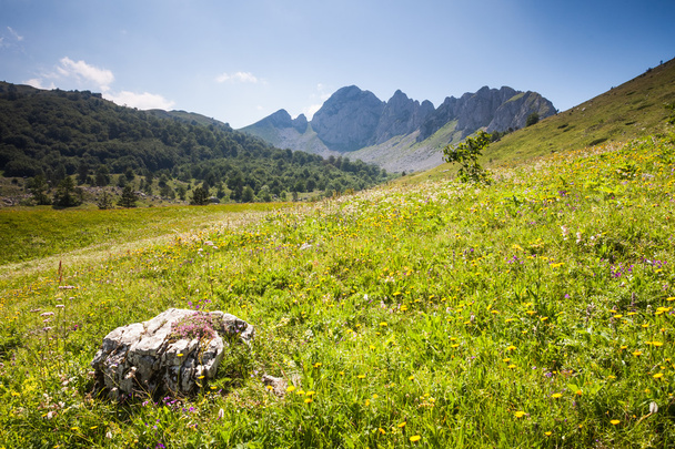 Bergtal im Sommer - Foto, Bild