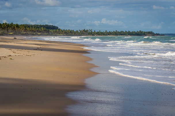 Brazilian Beaches-Pontal do Coruripe, Alagoas - Φωτογραφία, εικόνα