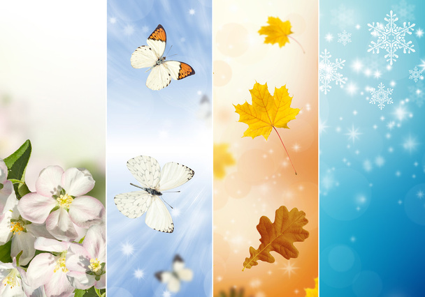 Collage de quatre saisons
 - Photo, image
