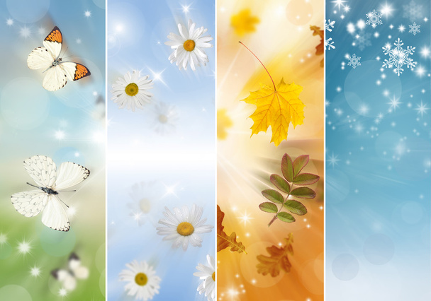 Collage of four seasons - Photo, Image