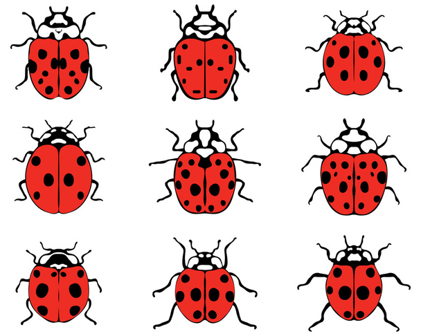 χαρούμενα ladybugs διάνυσμα - Διάνυσμα, εικόνα
