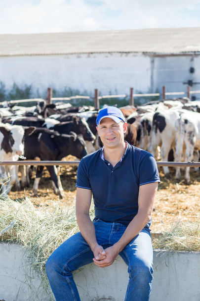 Farmer is working on farm with dairy cows - Φωτογραφία, εικόνα