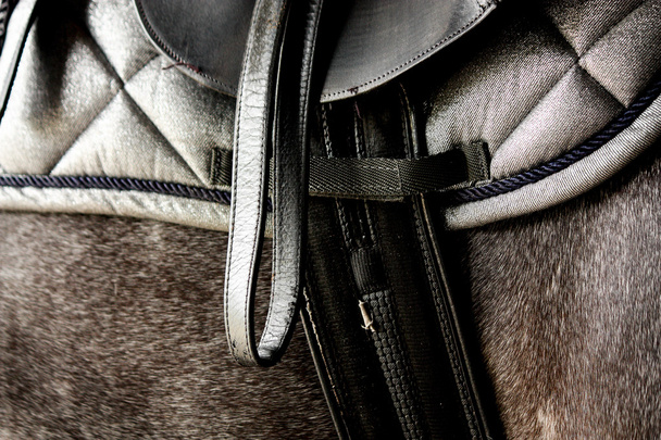 zblízka černé kožené sedlo na koni - Fotografie, Obrázek
