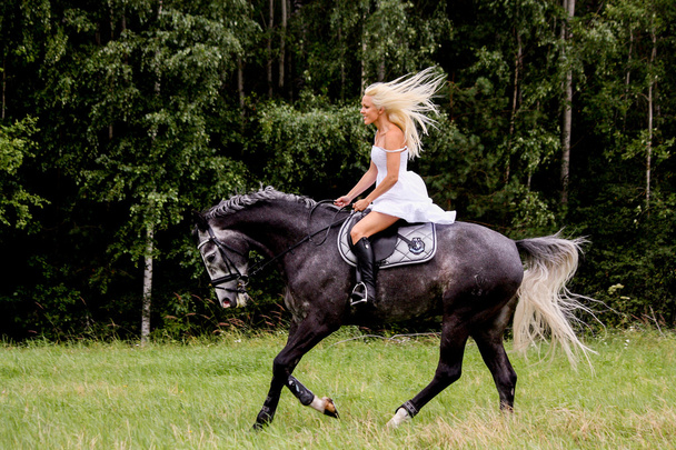 Piękna blond kobieta i jazdy konnej szary - Zdjęcie, obraz