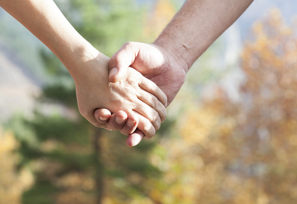 Couple walking in the autumn park holding hands - Foto, Imagem