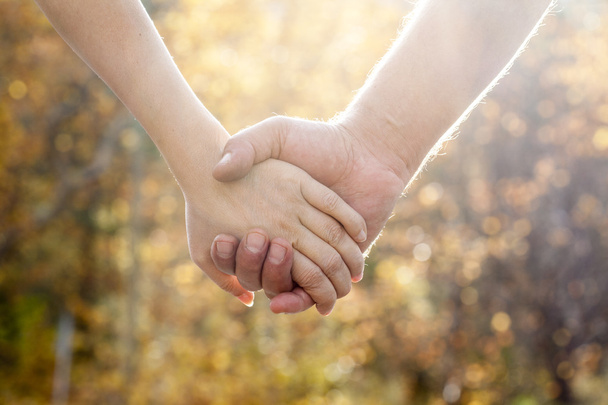 Pár v podzimním parku, drželi se za ruce - Fotografie, Obrázek