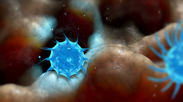 Virus, batteri, infezione all'interno vista organismo. Processo di infezione. rendering realistico 3d
 - Filmati, video