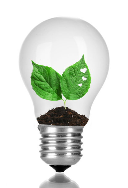 Green eco energy concept - Foto, afbeelding