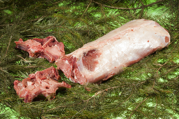 Taze yaban domuzları bel - Fotoğraf, Görsel