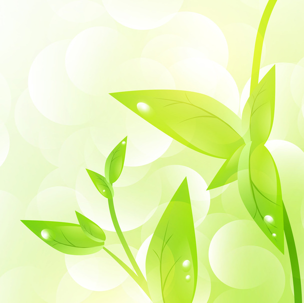 zöld leveles - Vektor, kép