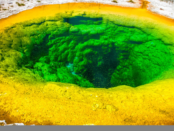 Yellowstone Morning Glory Pool - Zdjęcie, obraz