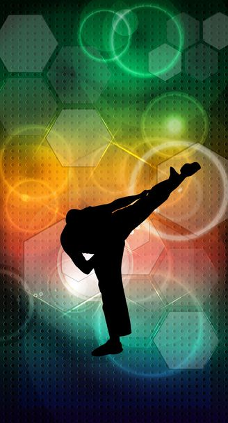 Martial arts karate illustration - Photo, Image
