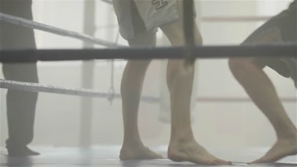 Defeated fighter falls down on the floor. Training in muay thai boxing - Footage, Video