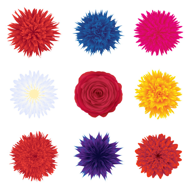 Ensemble de boutons de fleurs vectorielles
 - Vecteur, image