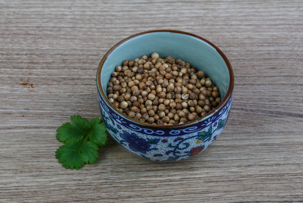 Coriander seeds with leaves - Photo, Image