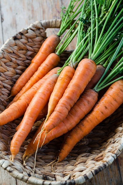 Ramo de zanahorias frescas
 - Foto, Imagen