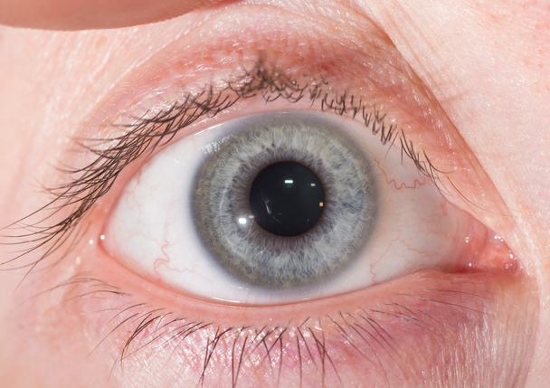 íris cinzenta normal no teste ocular
 - Foto, Imagem
