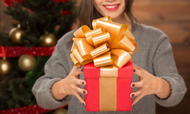 Girl holding a present - Photo, image