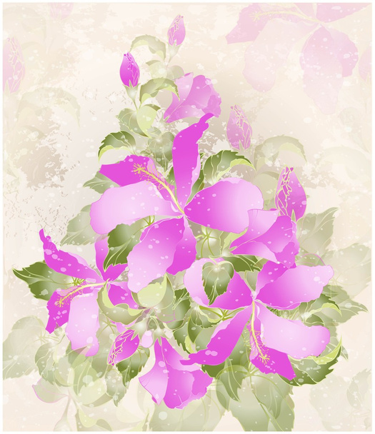 Greeting card with hibiscus. Illustration hibiscus. - Vettoriali, immagini