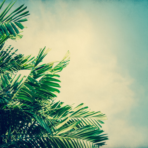 abstrakte unscharfe Textur aus Papier mit Kokosnussbaum und blauem Himmel - Foto, Bild