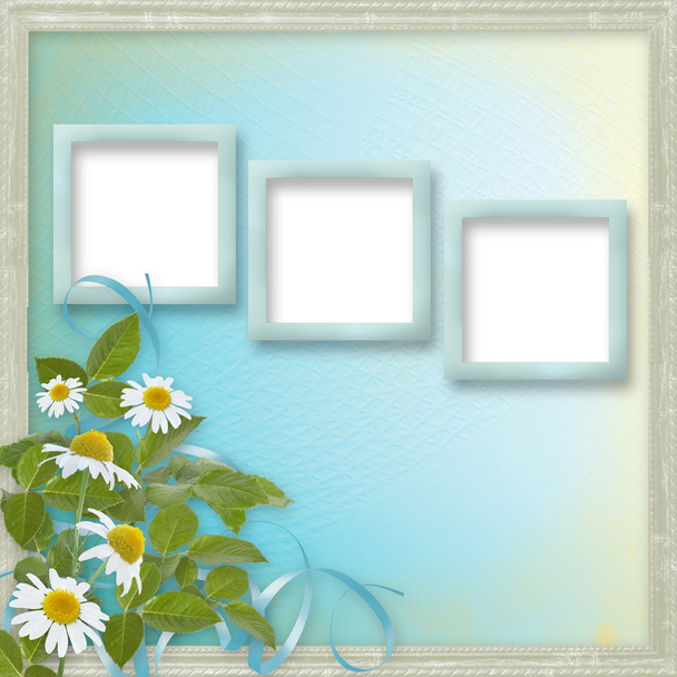 Grunge frames with beautiful daisy for design - Foto, imagen